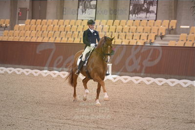 Dansk Rideforbunds Championats finaler 2018 springDansk Rideforbunds Championats finaler 2018 spring
Dansk Rideforbunds Championats finaler 2018
dressur 6årsDansk Rideforbunds Championats finaler 2018
dressur 7års
Nøgleord: vichy pax;joachim chr thomsen