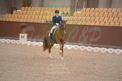 Dansk Rideforbunds Championats finaler 2018 spring
Dansk Rideforbunds Championats finaler 2018
dressur 7års
Nøgleord: blue hors zirrus;emma skodborg merrald