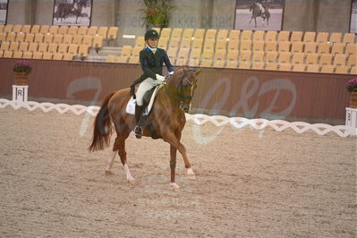 Dansk Rideforbunds Championats finaler 2018 spring
Dansk Rideforbunds Championats finaler 2018
dressur 7års
Nøgleord: blue hors zirrus;emma skodborg merrald