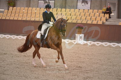 Dansk Rideforbunds Championats finaler 2018 spring
Dansk Rideforbunds Championats finaler 2018
dressur 7års
Nøgleord: blue hors zirrus;emma skodborg merrald