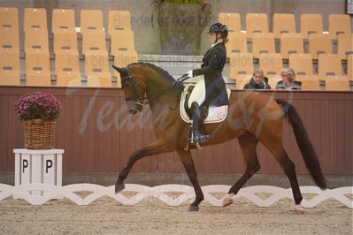 Dansk Rideforbunds Championats finaler 2018 spring
Dansk Rideforbunds Championats finaler 2018
dressur 7års
Nøgleord: francis;henriette boe mortensen