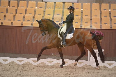 Dansk Rideforbunds Championats finaler 2018 spring
Dansk Rideforbunds Championats finaler 2018
dressur 7års
Nøgleord: francis;henriette boe mortensen