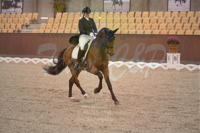 Dansk Rideforbunds Championats finaler 2018 spring
Dansk Rideforbunds Championats finaler 2018
dressur 7års
Nøgleord: francis;henriette boe mortensen