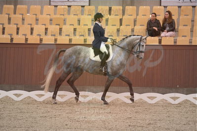 Dansk Rideforbunds Championats finaler 2018 spring
Dansk Rideforbunds Championats finaler 2018
dressur 7års
Nøgleord: roar d;michala damm-frydenberg