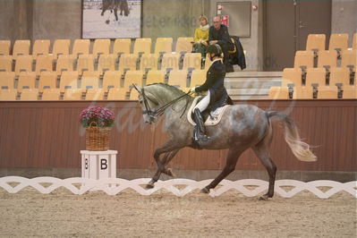 Dansk Rideforbunds Championats finaler 2018 spring
Dansk Rideforbunds Championats finaler 2018
dressur 7års
Nøgleord: roar d;michala damm-frydenberg