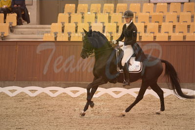 Dansk Rideforbunds Championats finaler 2018 spring
Dansk Rideforbunds Championats finaler 2018
dressur 7års
Nøgleord: uniqhors delux;iben østergård