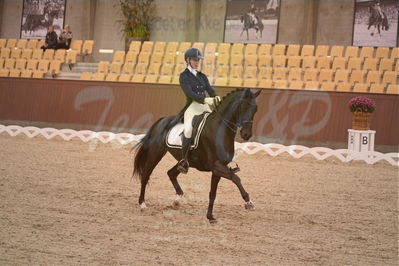 Dansk Rideforbunds Championats finaler 2018 spring
Dansk Rideforbunds Championats finaler 2018
dressur 7års
Nøgleord: uniqhors delux;iben østergård