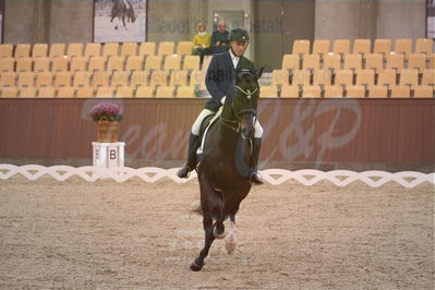 Dansk Rideforbunds Championats finaler 2018 spring
Dansk Rideforbunds Championats finaler 2018
dressur 7års
Nøgleord: faurbirk's facination;jim rasmussen