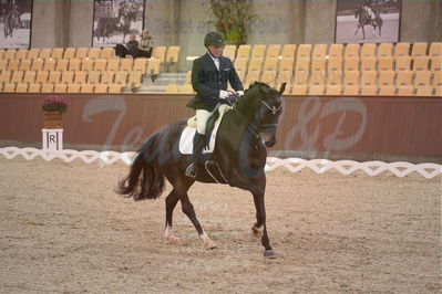 Dansk Rideforbunds Championats finaler 2018 spring
Dansk Rideforbunds Championats finaler 2018
dressur 7års
Nøgleord: faurbirk's facination;jim rasmussen