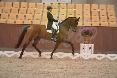 Dansk Rideforbunds Championats finaler 2018 spring
Dansk Rideforbunds Championats finaler 2018
dressur 7års
Nøgleord: hugh hefner;frederico mexia de almeida