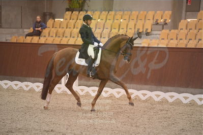 Dansk Rideforbunds Championats finaler 2018 spring
Dansk Rideforbunds Championats finaler 2018
dressur 7års
Nøgleord: d'avie;severo jurado lopez