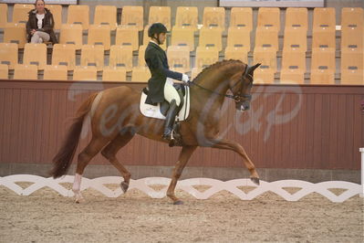 Dansk Rideforbunds Championats finaler 2018 spring
Dansk Rideforbunds Championats finaler 2018
dressur 7års
Nøgleord: d'avie;severo jurado lopez