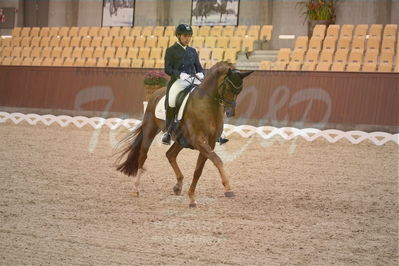 Dansk Rideforbunds Championats finaler 2018 spring
Dansk Rideforbunds Championats finaler 2018
dressur 7års
Nøgleord: d'avie;severo jurado lopez