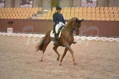 Dansk Rideforbunds Championats finaler 2018 spring
Dansk Rideforbunds Championats finaler 2018
dressur 7års
Nøgleord: d'avie;severo jurado lopez