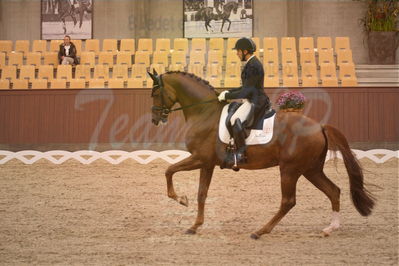 Dansk Rideforbunds Championats finaler 2018 spring
Dansk Rideforbunds Championats finaler 2018
dressur 7års
Nøgleord: d'avie;severo jurado lopez