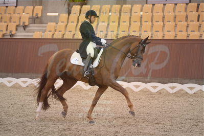 Dansk Rideforbunds Championats finaler 2018 spring
Dansk Rideforbunds Championats finaler 2018
dressur 7års
Nøgleord: d'avie;severo jurado lopez