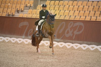 Dansk Rideforbunds Championats finaler 2018 spring
Dansk Rideforbunds Championats finaler 2018
dressur 7års
Nøgleord: d'avie;severo jurado lopez