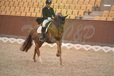 Dansk Rideforbunds Championats finaler 2018 spring
Dansk Rideforbunds Championats finaler 2018
dressur 7års
Nøgleord: d'avie;severo jurado lopez