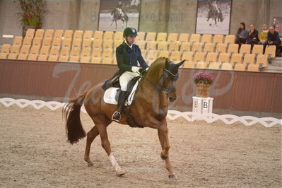 Dansk Rideforbunds Championats finaler 2018 spring
Dansk Rideforbunds Championats finaler 2018
dressur 7års
Nøgleord: d'avie;severo jurado lopez