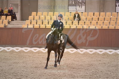 Dansk Rideforbunds Championats finaler 2018 spring
Dansk Rideforbunds Championats finaler 2018
dressur 7års
Nøgleord: titolas;susanne krohn