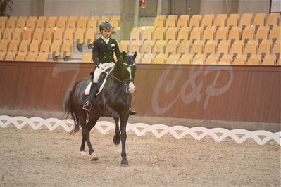 Dansk Rideforbunds Championats finaler 2018 spring
Dansk Rideforbunds Championats finaler 2018
dressur 7års
Nøgleord: titolas;susanne krohn