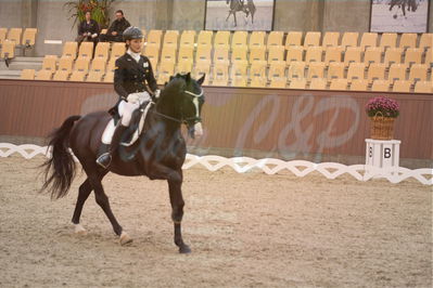 Dansk Rideforbunds Championats finaler 2018 spring
Dansk Rideforbunds Championats finaler 2018
dressur 7års
Nøgleord: titolas;susanne krohn