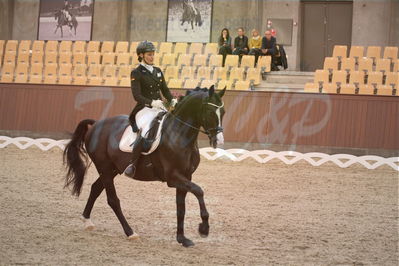 Dansk Rideforbunds Championats finaler 2018 spring
Dansk Rideforbunds Championats finaler 2018
dressur 7års
Nøgleord: titolas;susanne krohn