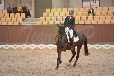 Dansk Rideforbunds Championats finaler 2018 spring
Dansk Rideforbunds Championats finaler 2018
dressur 7års
Nøgleord: icing for you;meike lang