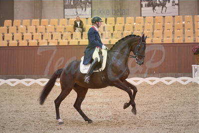 Dansk Rideforbunds Championats finaler 2018 spring
Dansk Rideforbunds Championats finaler 2018
dressur 7års
Nøgleord: icing for you;meike lang