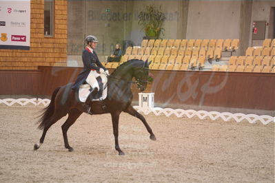 Dansk Rideforbunds Championats finaler 2018 spring
Dansk Rideforbunds Championats finaler 2018
dressur 7års
Nøgleord: icing for you;meike lang