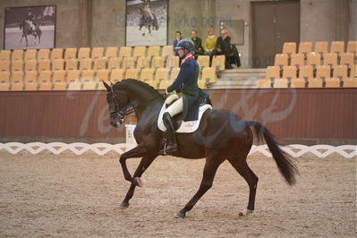 Dansk Rideforbunds Championats finaler 2018 spring
Dansk Rideforbunds Championats finaler 2018
dressur 7års
Nøgleord: icing for you;meike lang