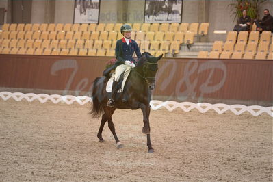 Dansk Rideforbunds Championats finaler 2018 spring
Dansk Rideforbunds Championats finaler 2018
dressur 7års
Nøgleord: icing for you;meike lang
