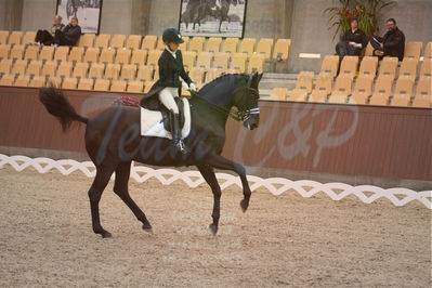 Dansk Rideforbunds Championats finaler 2018 spring
Dansk Rideforbunds Championats finaler 2018
dressur 7års
Nøgleord: fürsten-flame;anne sofie aaen