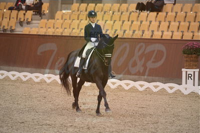 Dansk Rideforbunds Championats finaler 2018 spring
Dansk Rideforbunds Championats finaler 2018
dressur 7års
Nøgleord: fürsten-flame;anne sofie aaen