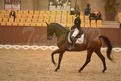 Dansk Rideforbunds Championats finaler 2018 spring
Dansk Rideforbunds Championats finaler 2018
dressur 7års
Nøgleord: hjorth's zarina;tanja søndergaard pedersen