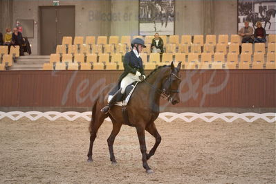 Dansk Rideforbunds Championats finaler 2018 spring
Dansk Rideforbunds Championats finaler 2018
dressur 7års
Nøgleord: hjorth's zarina;tanja søndergaard pedersen