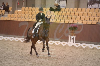 Dansk Rideforbunds Championats finaler 2018 spring
Dansk Rideforbunds Championats finaler 2018
dressur 7års
Nøgleord: hjorth's zarina;tanja søndergaard pedersen