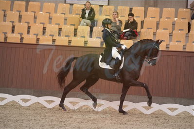 Dansk Rideforbunds Championats finaler 2018 spring
Dansk Rideforbunds Championats finaler 2018
dressur 7års
Nøgleord: uno don olympic;anna zibrandtsen