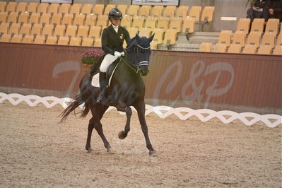 Dansk Rideforbunds Championats finaler 2018 spring
Dansk Rideforbunds Championats finaler 2018
dressur 7års
Nøgleord: uno don olympic;anna zibrandtsen