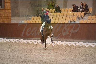 Dansk Rideforbunds Championats finaler 2018 spring
Dansk Rideforbunds Championats finaler 2018
dressur 7års
Nøgleord: hesselhøj donkey boy;jan møller christensen