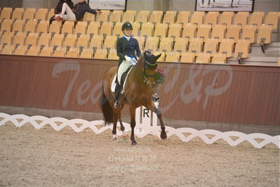 Dansk Rideforbunds Championats finaler 2018 spring
Dansk Rideforbunds Championats finaler 2018
dressur 7års
Nøgleord: blue hors zalabastar;nanna skodborg merrald