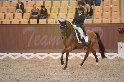 Dansk Rideforbunds Championats finaler 2018 spring
Dansk Rideforbunds Championats finaler 2018
dressur 7års
Nøgleord: blue hors zalabastar;nanna skodborg merrald