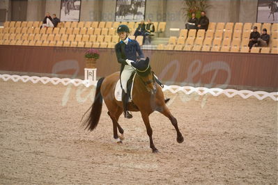 Dansk Rideforbunds Championats finaler 2018 spring
Dansk Rideforbunds Championats finaler 2018
dressur 7års
Nøgleord: blue hors zalabastar;nanna skodborg merrald