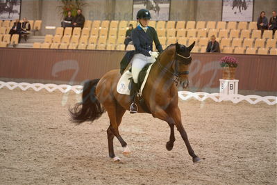 Dansk Rideforbunds Championats finaler 2018 spring
Dansk Rideforbunds Championats finaler 2018
dressur 7års
Nøgleord: blue hors zalabastar;nanna skodborg merrald