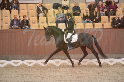 Dansk Rideforbunds Championats finaler 2019 dressur
Dansk Rideforbunds Championats finaler 2018
4års
Nøgleord: møllegårdens dancer dwb;jan møller christensen