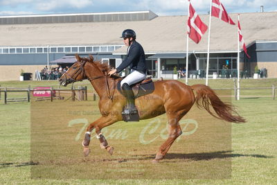 springstævne
mb1
Nøgleord: christian svendgaard;capacity lady lord