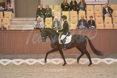 Dansk Rideforbunds Championats finaler 2019 dressur
Dansk Rideforbunds Championats finaler 2018
4års
Nøgleord: møllegårdens dancer dwb;jan møller christensen