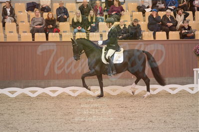 Dansk Rideforbunds Championats finaler 2019 dressur
Dansk Rideforbunds Championats finaler 2018
4års
Nøgleord: møllegårdens dancer dwb;jan møller christensen