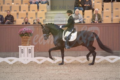 Dansk Rideforbunds Championats finaler 2019 dressur
Dansk Rideforbunds Championats finaler 2018
4års
Nøgleord: møllegårdens dancer dwb;jan møller christensen