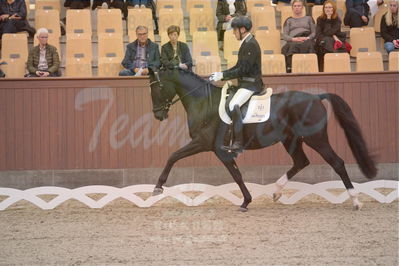 Dansk Rideforbunds Championats finaler 2019 dressur
Dansk Rideforbunds Championats finaler 2018
4års
Nøgleord: møllegårdens dancer dwb;jan møller christensen